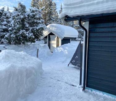 Nes House | Cabin Near Skiing And Golf At Nesfjellet