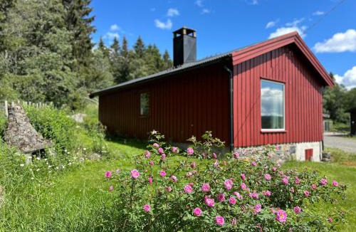 Lillehammer Cabin | Cabin with great view close to town and ski area