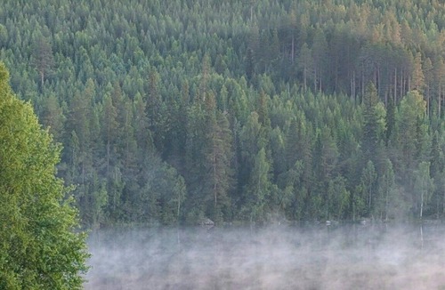 Trehorningsjo House | Cabin with lake views and jacuzzi in northern Sweden
