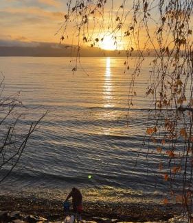 Hole Municipality House | Cabin with Private beach and fjord view Perfect for Coolcation and Calmcation