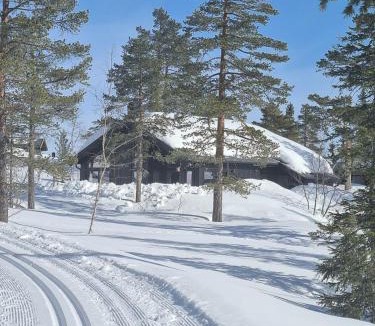 Krodsherad House | Cabin With Sauna At Norefjell