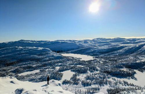 Hjartdal Municipality House | Cabin With Sauna At The Foot Of Lifjell