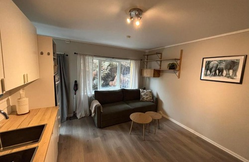 Alesund Apartment | Central and quiet studio 1 min from the city center
