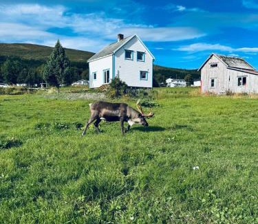 Tromso Villa | Central and rural house with beautiful view