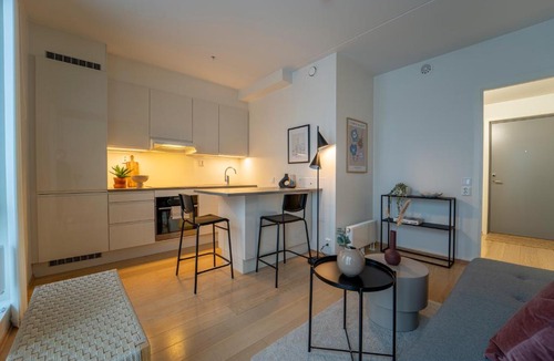 Gamle Oslo Apartment | Central by Oslo S and Opera Balcony and Morning Sun