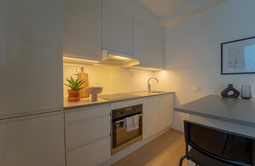 Gamle Oslo Apartment | Central by Oslo S and Opera Balcony and Morning Sun