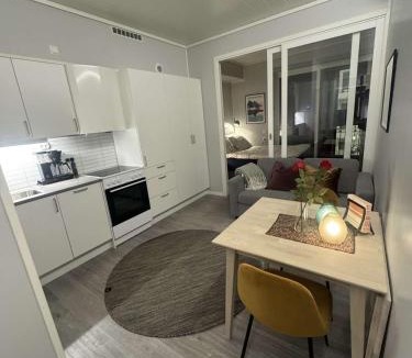 Svolvaer Apartment | Central City Apartment