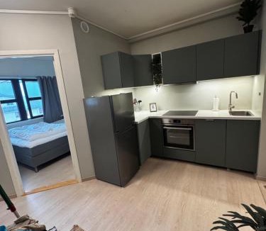 Sogndal Apartment | Central city apartment Sogndal