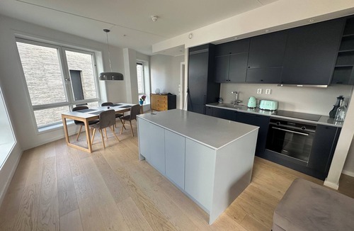Bjørvika Apartment | Central Luxurious Apartment Barcode Oslo