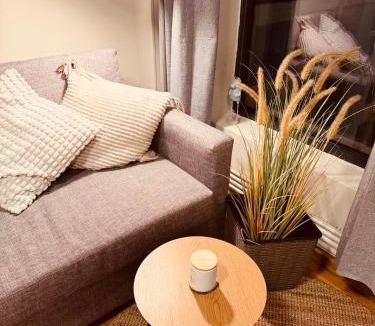 Al Municipality Apartment | Central Oslo Apartment Stylish, Comfortable