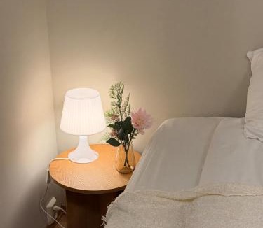 Al Municipality Apartment | Central Oslo Apartment Stylish, Comfortable