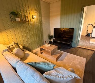 Notodden Apartment | Central Studio apartment