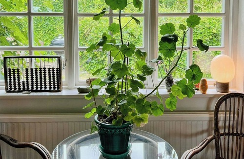 Kivik House | Century-old house with sea views in Södra Mellby