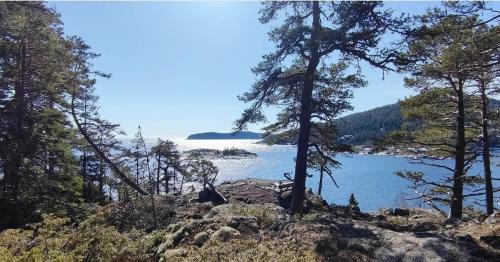 Kramfors Municipality Apartment | Charming country accommodation in a vibrant cultural center