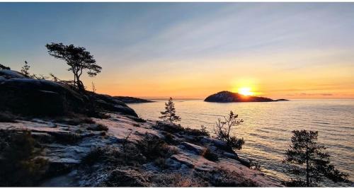 Kramfors Municipality Apartment | Charming country accommodation in a vibrant cultural center