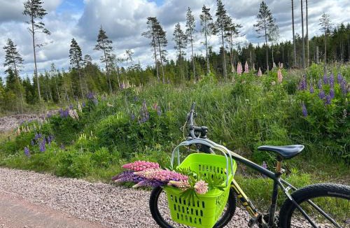 Ulricehamn House | Charming Family Villa