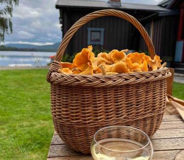 Nasviken House | Charming Holiday Home in Nsviken with Sauna and Stunning Views