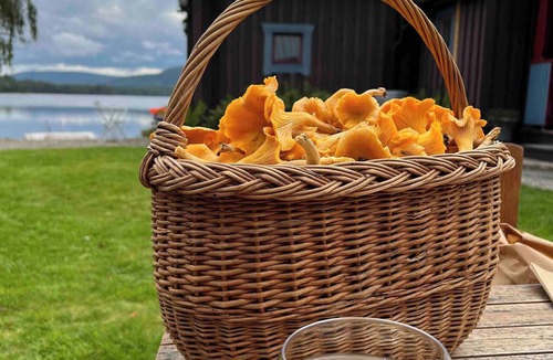 Nasviken House | Charming Holiday Home in Näsviken with Sauna and Stunning Views