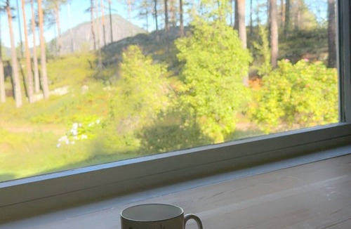 Kviteseid Cottage | Charming place in the forest near Lake Nisser