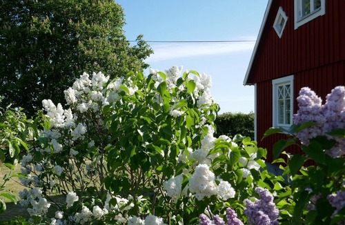 Laholm House | Charming Swedish red cottage on the countryside, near Båstad.