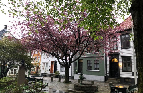 Bergen City Centre Apartment | City apartment in Bergen