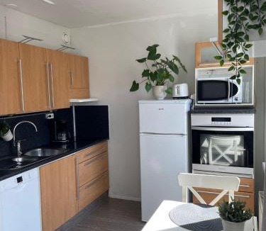 Kuopio Apartment | City Apartment Maaherrankatu, ilmainen kadunvarsipysäköinti