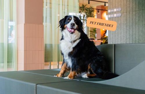 Kristiansand Hotel | Citybox Kristiansand