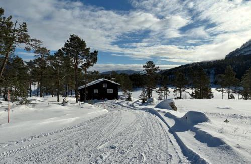 Treungen Ski Chalet | Cosy cabin between lake and mountain