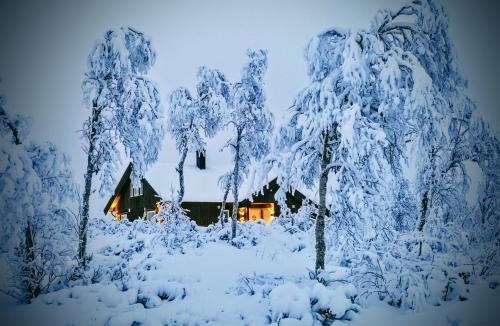 Al Municipality House | Cosy mountain cabin, Geilo