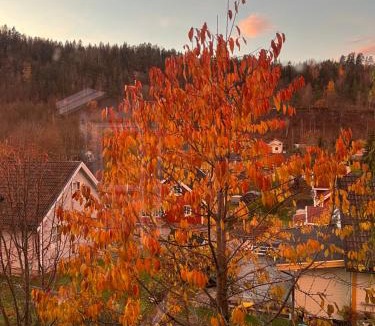 Royken Bed & Breakfast | Cosy rooms & garden