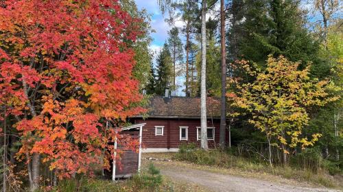 Koli National Park House | Cottage Petra in Koli