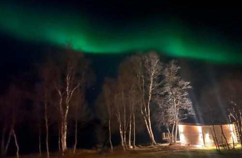 Neiden House | Cottage with good standard next to Neiden river