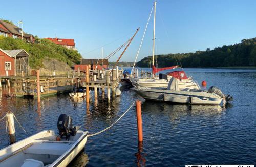 Nosund House | Cottage with Private Shoreline in Boxvik SE09128