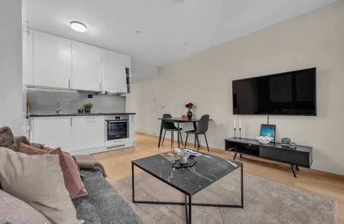 Tromso Apartment | Cozy Arctic Apartment - 1 bed with free parking