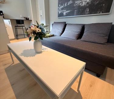 Orkanger House | Cozy basement apartment in Orkanger