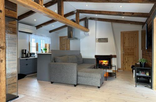 Are Villa | Cozy cabin with an amazing view