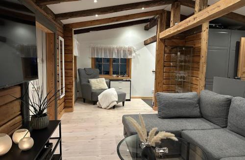 Are Villa | Cozy cabin with an amazing view