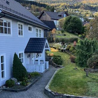 Skulestad Apartment | Cozy Central Apartment - Free Parking & Wifi