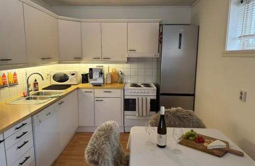 Skulestad Apartment | Cozy Central Apartment - Free Parking & Wifi