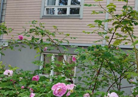 Lahti Apartment | Cozy city-center beauty - one-bedroom with sauna and free parking
