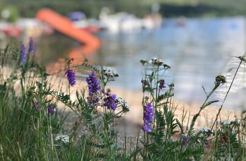 Vradal Apartment | Cozy holiday apartment in the heart of Vrådal!