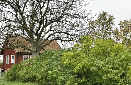 Farjestaden House | Cozy holiday house on Öland near family-friendly beaches | SE04012