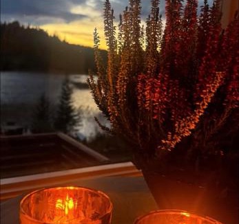 Skaun Other | Cozy lakeside cabin