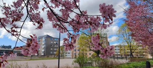 Kallio Apartment | Cozy studio at the heart of Helsinki, close to nature & sea