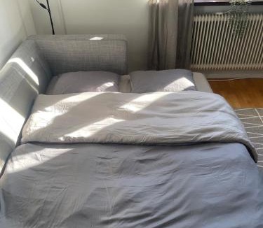 Lundby Apartment | Cozy Studio with Courtyard - Near City Center