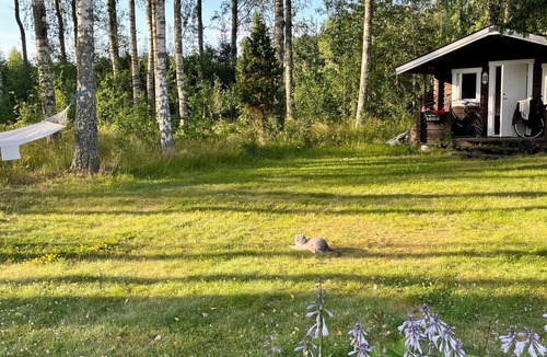 Stromstad Municipality Cabin | Cozy vacation home with fireplace and sauna on the Swedish west coast