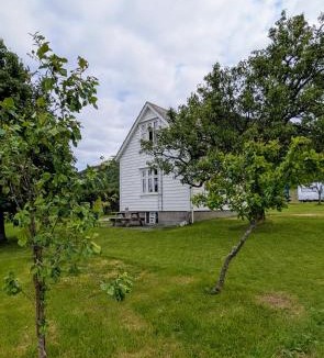 Uskedal Bed & Breakfast | Dønhaug Gard