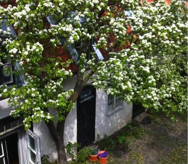 Malmen Apartment | Dahmskahuset