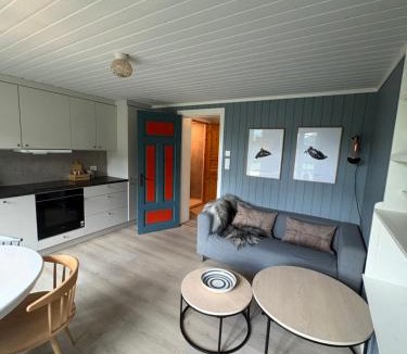 Dalsbygda Apartment | Dalhus Valley Apartment