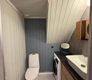 Dalsbygda Apartment | Dalhus Valley Apartment